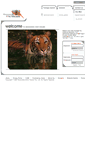 Mobile Screenshot of absolutelywildvisuals.com