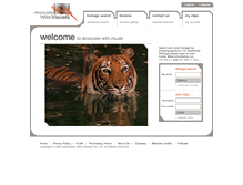 Tablet Screenshot of absolutelywildvisuals.com